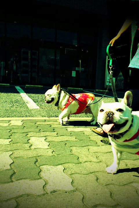 20110622_2.jpg