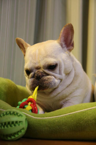 20110625_3.jpg