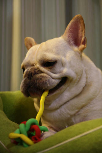 20110625_4.jpg