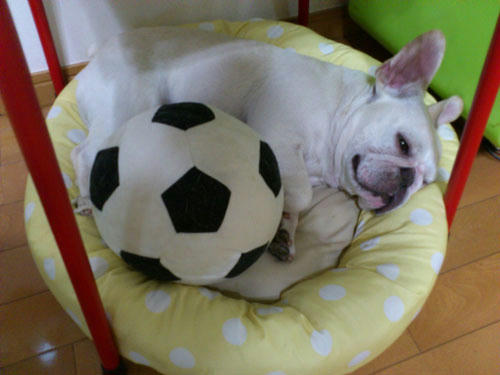 20110719_3.jpg
