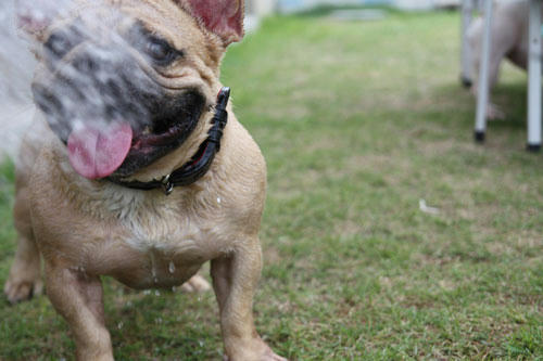 20110724_2.jpg