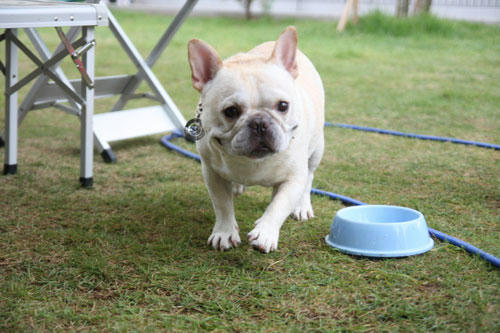 20110724_10.jpg