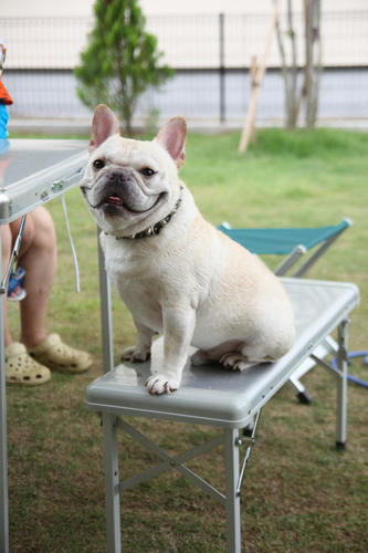 20110724_12.jpg