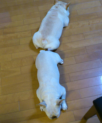 20110829_3.jpg
