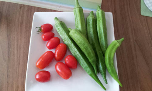 20110830_2.jpg