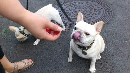20110830_3.jpg