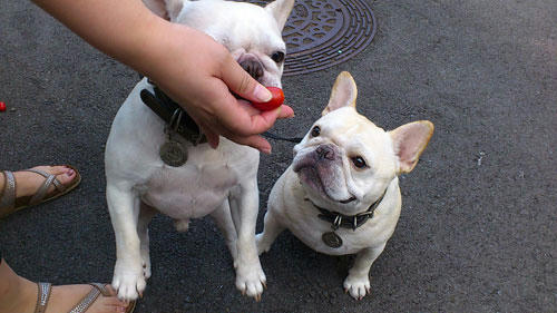 20110830_4.jpg