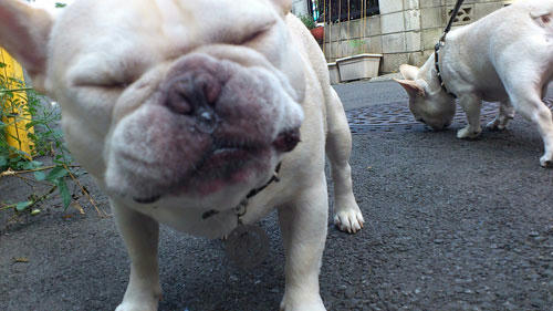 20110830_5.jpg