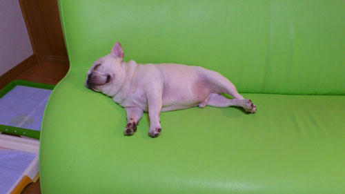 20110912_1.jpg
