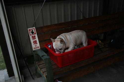 20111014_02.jpg