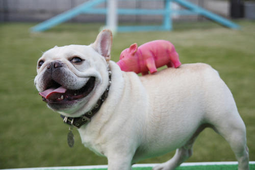 20111014_11.jpg