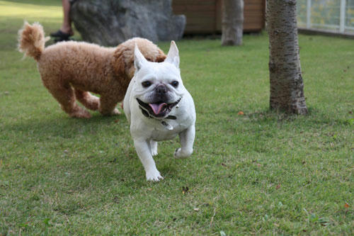 20111026_3.jpg