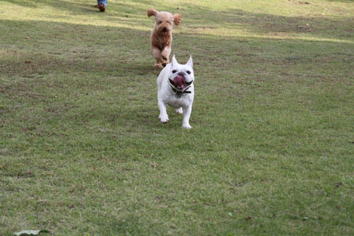 20111026_4.jpg