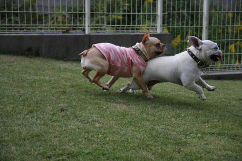 20111026_11.jpg