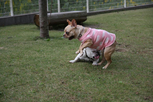 20111026_13.jpg
