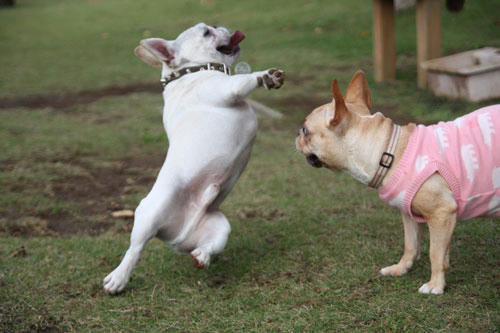 20111026_14.jpg