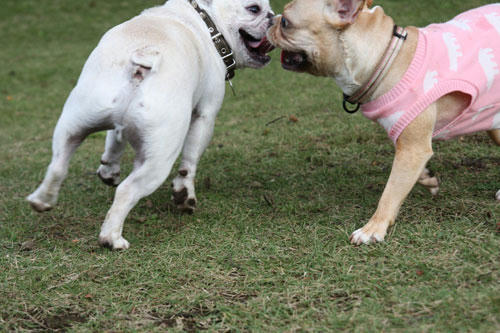 20111026_16.jpg