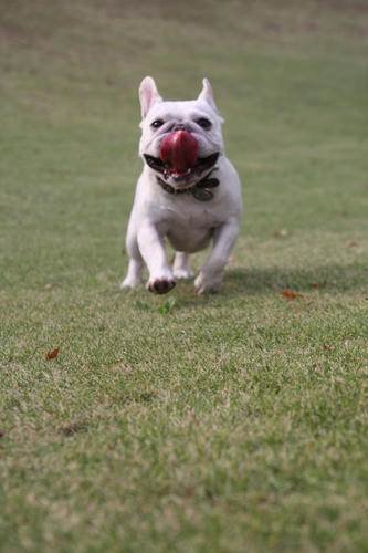 20111026_20.jpg