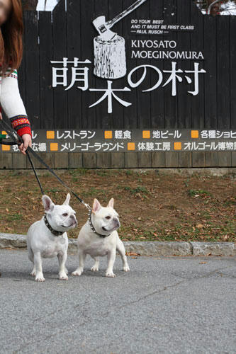 20111103_4.jpg
