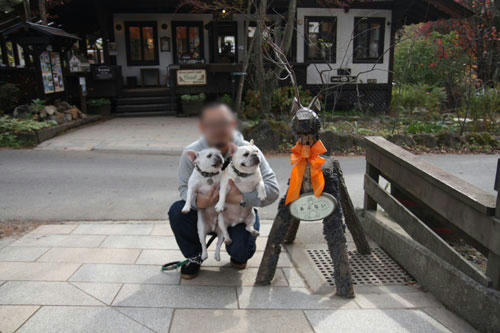 20111103_5.jpg