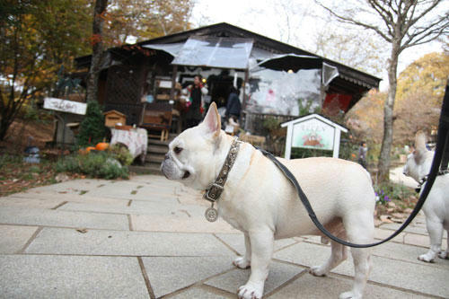 20111103_9.jpg