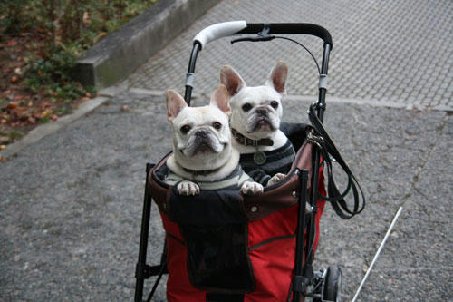 20111103_19.jpg