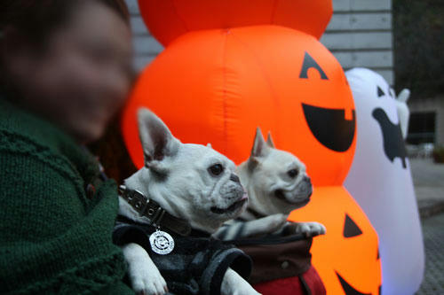 20111103_25.jpg