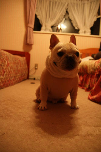 20111103_33.jpg