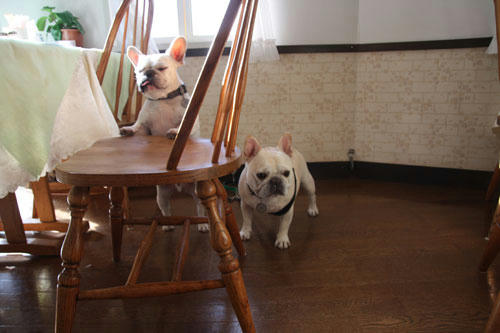 20111103_38.jpg
