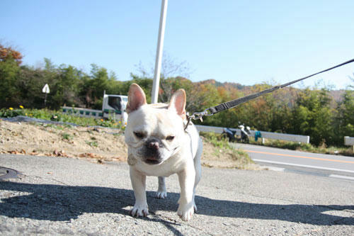 20111104_2.jpg
