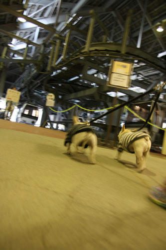 20111104_12.jpg