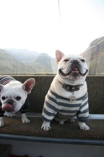 20111104_15.jpg