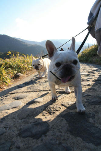 20111104_19.jpg