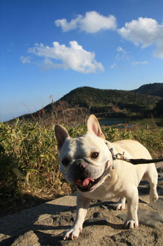 20111104_20.jpg