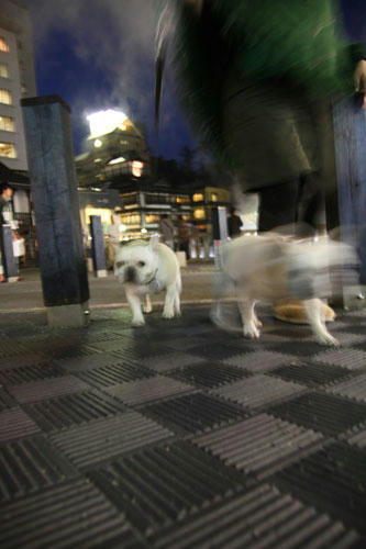 20111104_29.jpg