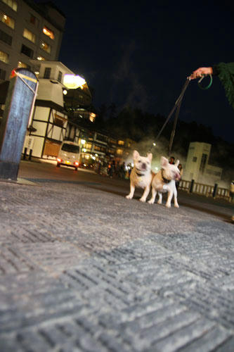 20111104_30.jpg