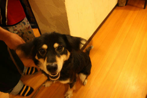 20111104_37.jpg