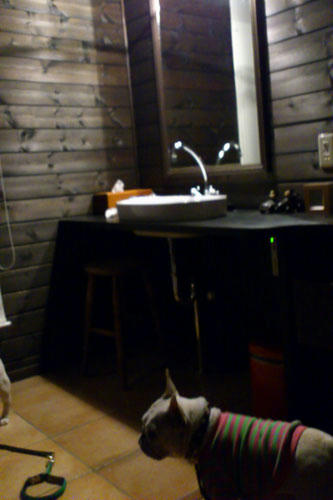 20111104_48.jpg