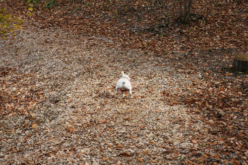 201111105_5.jpg