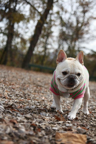 201111105_8.jpg