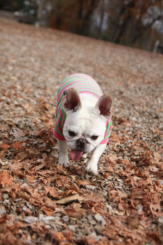 201111105_10.jpg