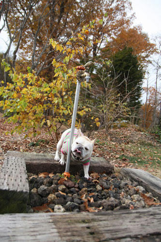201111105_11.jpg