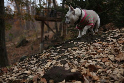 201111105_12.jpg