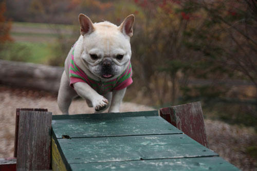 201111105_15.jpg