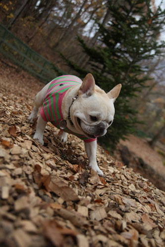 201111105_19.jpg