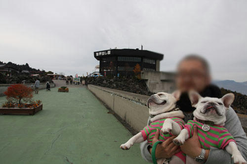 201111105_21.jpg
