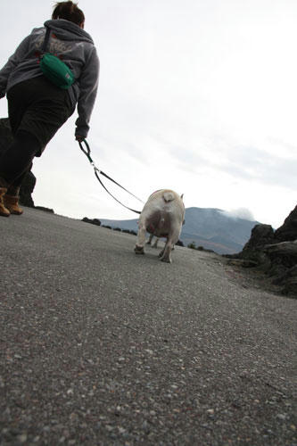 201111105_26.jpg