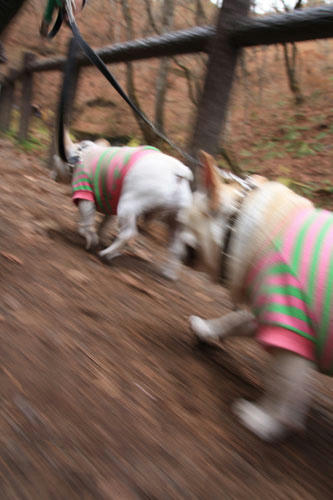 201111105_42.jpg