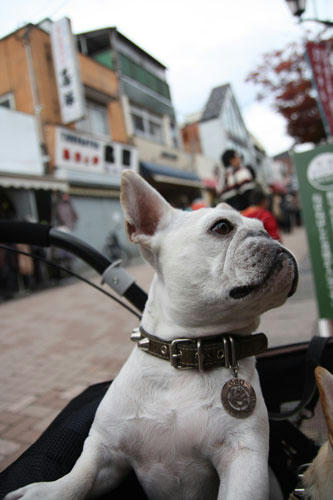 201111105_45.jpg