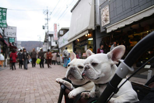 201111105_46.jpg